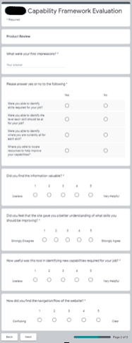 Online Capability Assessment Framework